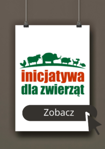 Aleksandra Bodek grafik