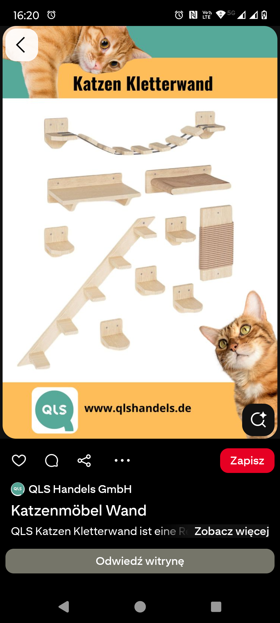 Aleksandra Bodek prowadzenie social media