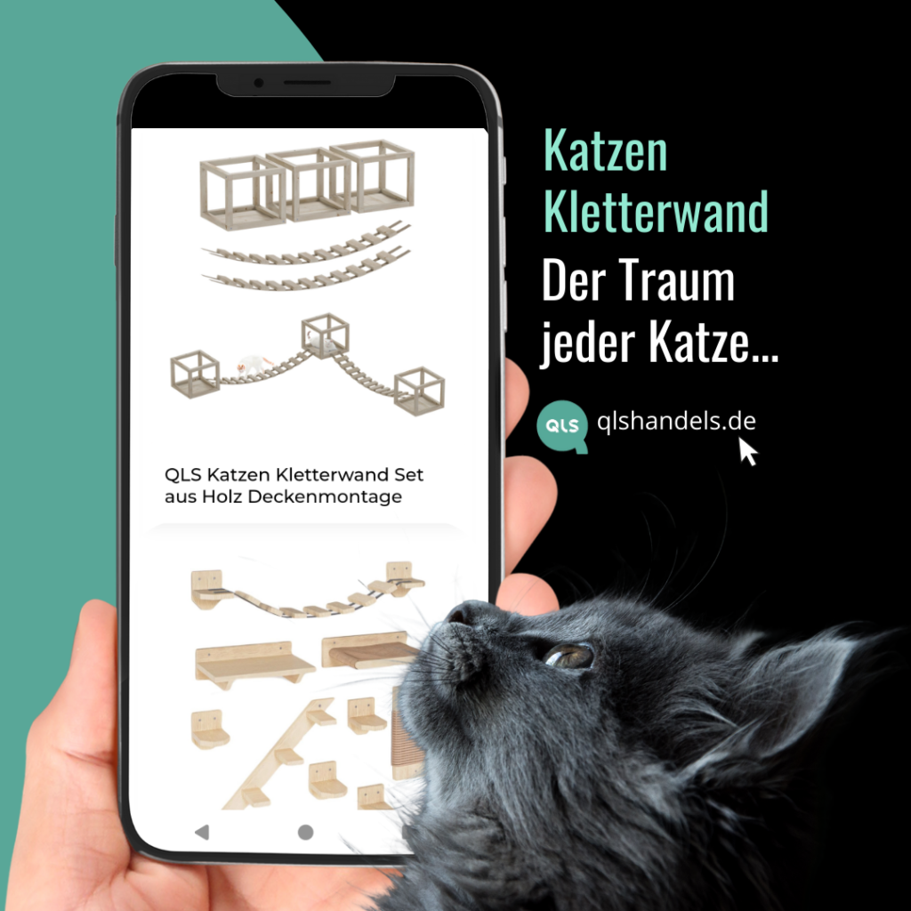 Aleksandra Bodek prowadzenie social media