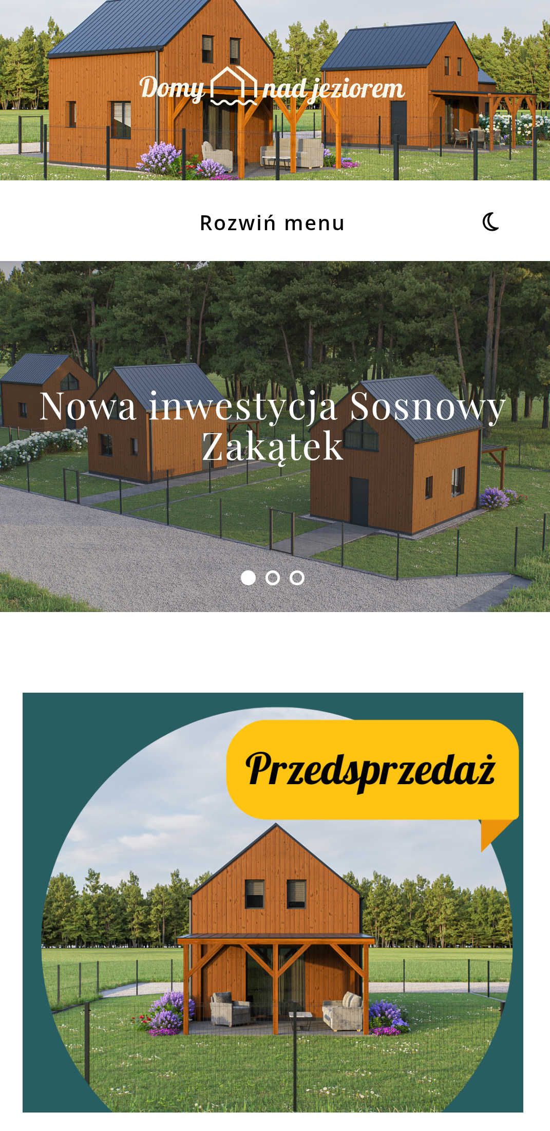 Aleksandra Bodek strony internetowe